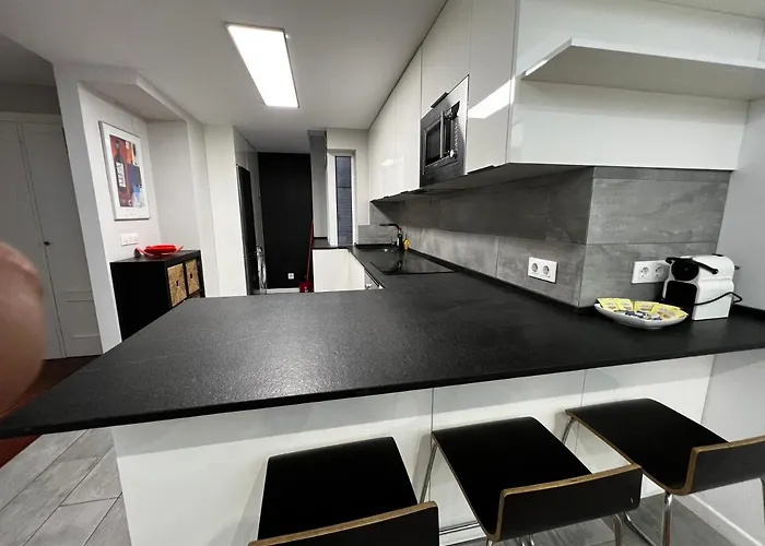 Oliva بونتيفيذرا